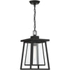 Denver 1 Light 8 inch Black Outdoor Hanging Lantern 5-2025-BK