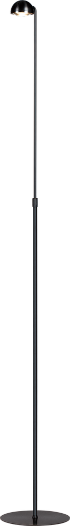 Horoscope LED Floor Lamp PF150596-SDG